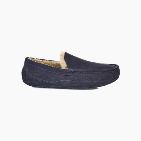 UGG Ascot - Tøfler Herre - Marineblå (NO-L979)